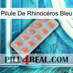 Pilule De Rhinocéros Bleu 26